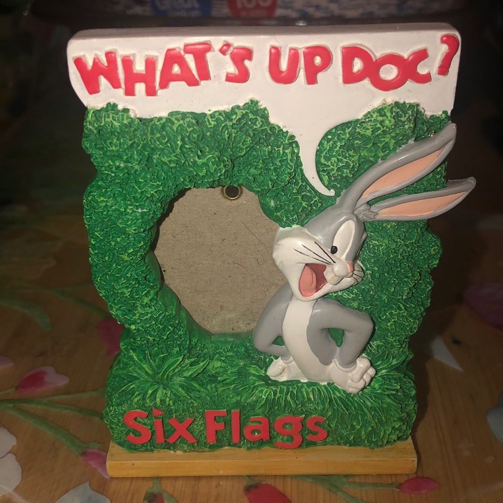 Six Flags Picture Frame